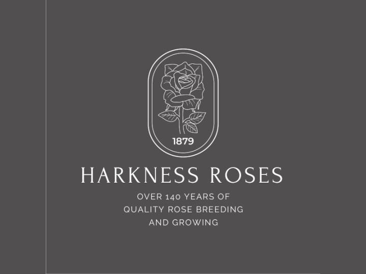 Harkness Roses